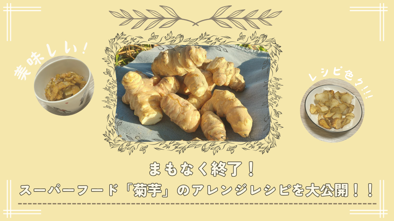 まもなく終了!スーパーフード「菊芋」のアレンジレシピを大公開 まもなく終了!スーパーフード「菊芋」のアレンジレシピを大公開