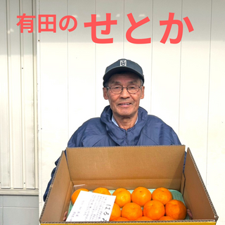 【予約】選べるサイズ!イチローさんの高級柑橘せとか 18玉~(4.5kg)