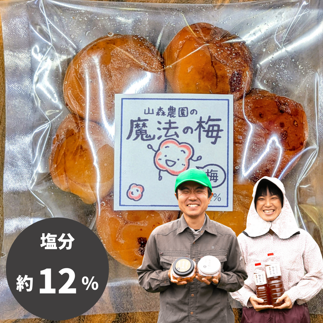 パウチ入りご家庭用】山森農園の魔法の梅 塩分12%無添加梅干し | 5STAR