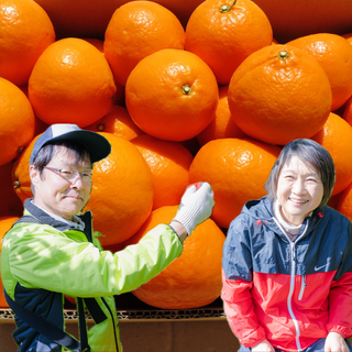 【3月発送】ご家庭用 紀六柑(かんきつ中間母本農6号)3kg~