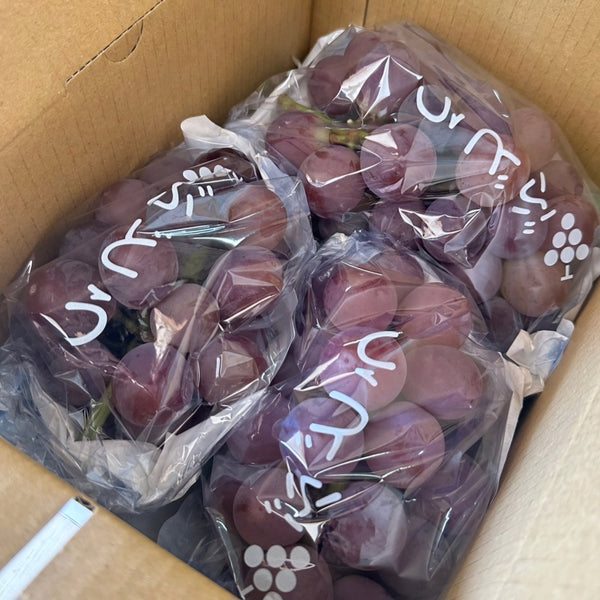 数量限定!門農園のピオーネ【贈答用】1kg~