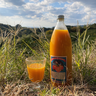 佐康園の頑固みかんジュース 1,000ml~