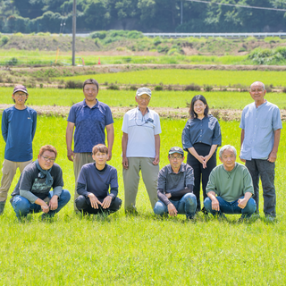 2025年度産!日高町小浦の無洗米「小浦れんげ米」3kg~