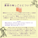 あかね色のシロップができる!和歌山みなべのレア梅「露茜」1kg~