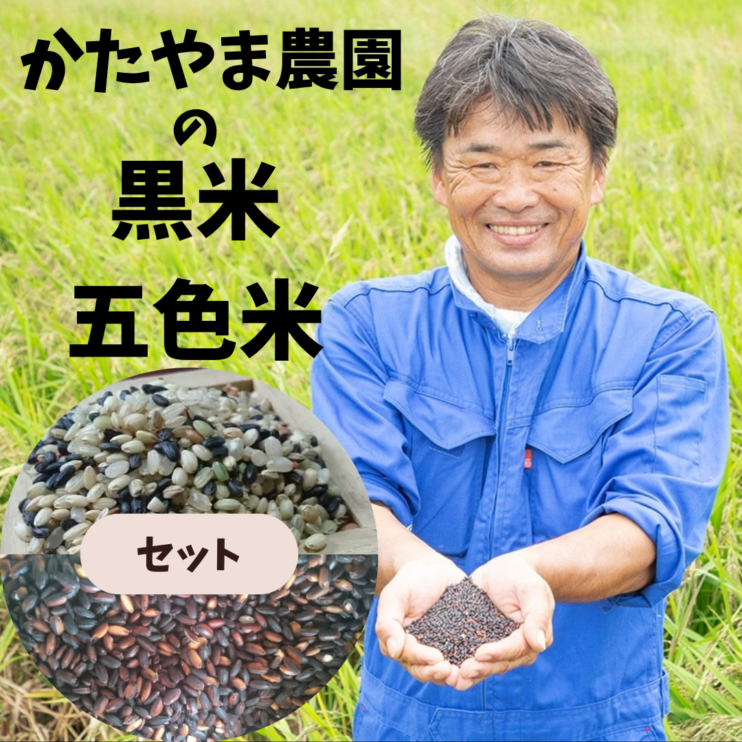 かたやま農園｜化学肥料と農薬未使用の黒米・5色米セット 各300g