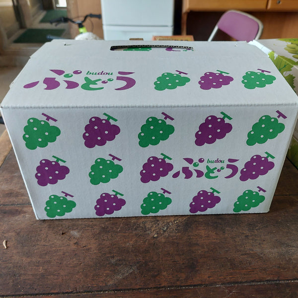 数量限定!門農園のピオーネ【贈答用】1kg~