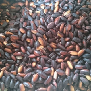 かたやま農園の自然栽培の黒米・5色米セット 各300g~