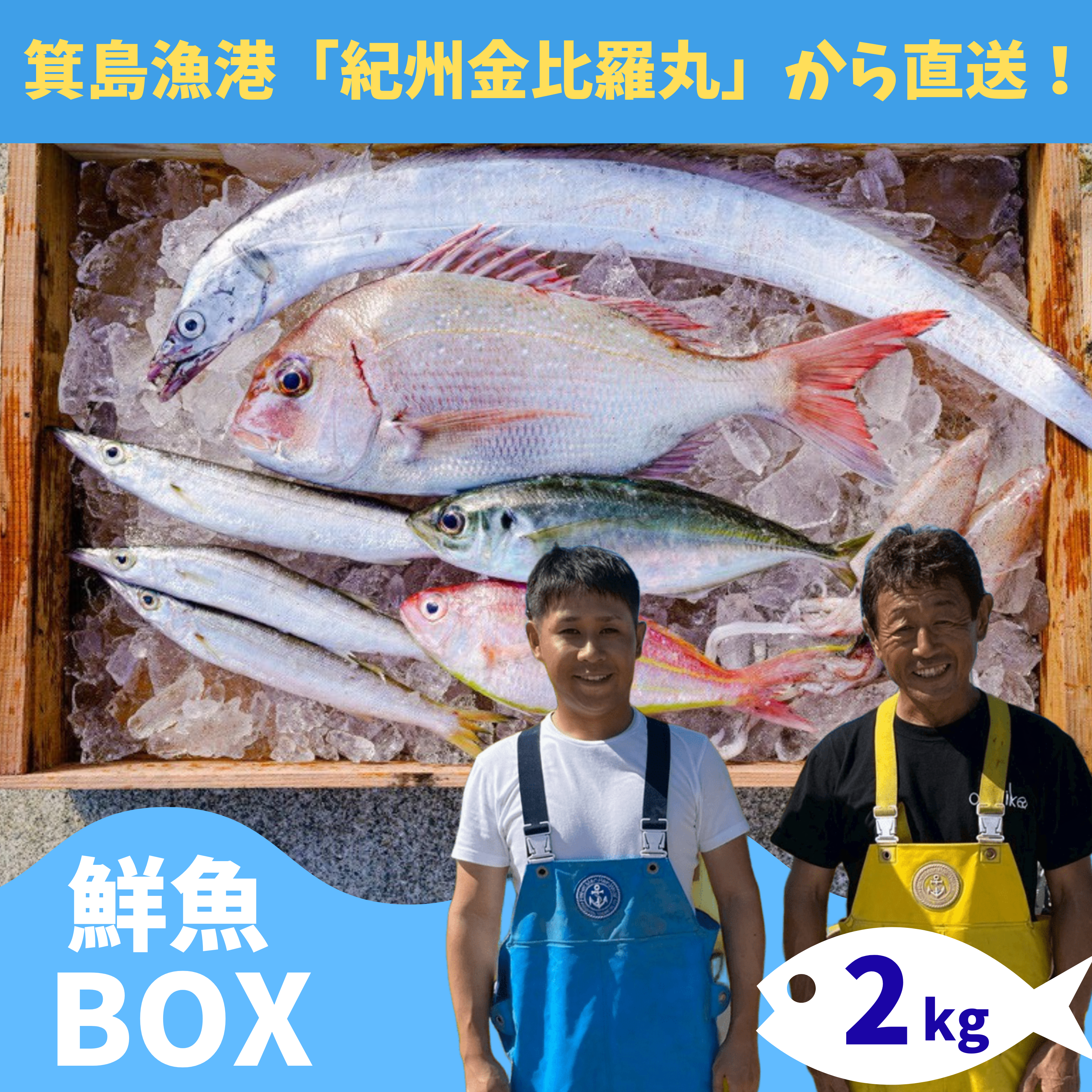 箕島漁港の漁師さんから直送！紀州金比羅丸の鮮魚BOX【2kg詰め合わせ