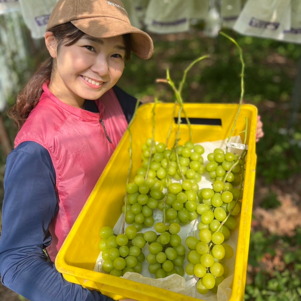 馬英農園のシャインマスカット約1㎏(2~3房入)