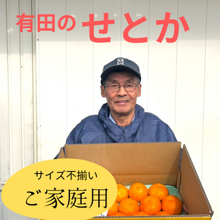 【予約】サイズMIX イチローさんの高級柑橘せとか20~30玉(4.7kg)