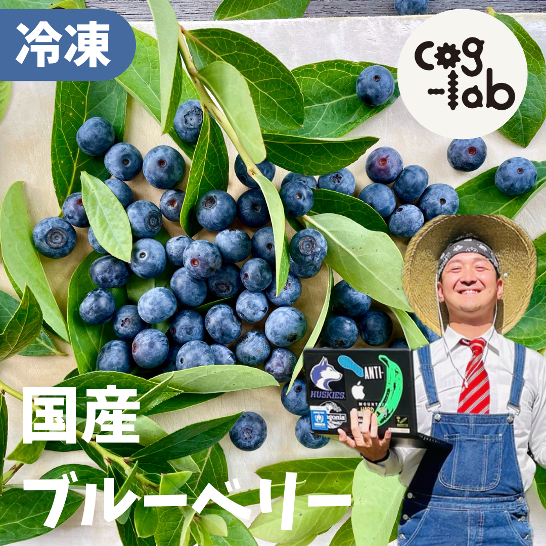 cog-lab農園の国産ブルーベリー(冷凍)500g~ | 5STAR MARCHE cog-lab農園の国産ブルーベリー(冷凍)500g~ | 5STAR MARCHE