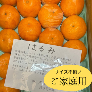 【予約】家庭用!イチローさんの完熟はるみ 不揃い20~30玉(4.7kg)