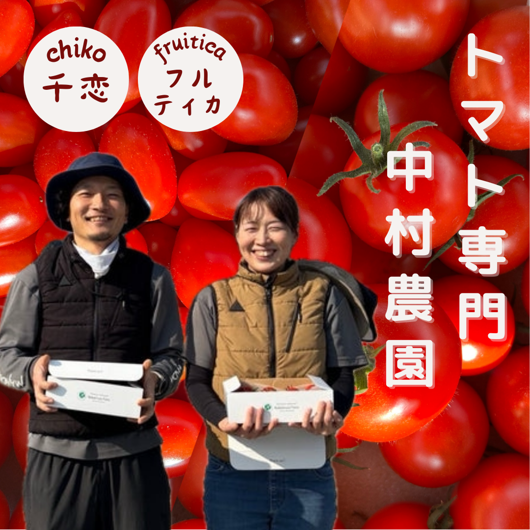 中村農園の選べるトマト 2kg 千恋(チコ)/ フルティカ | 5STAR MARCHE 中村農園の選べるトマト 2kg 千恋(チコ)/ フルティカ | 5STAR MARCHE