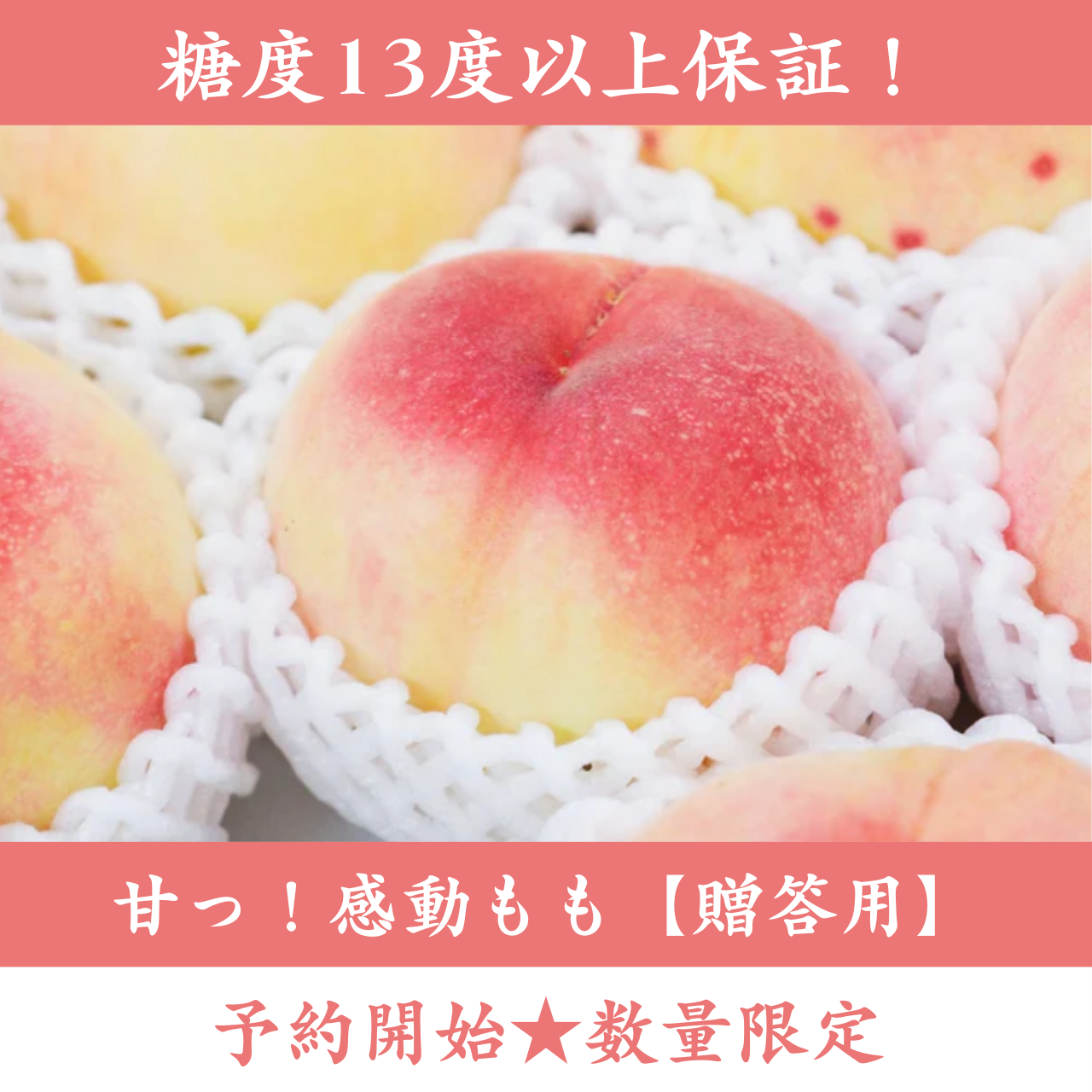 贈答用】糖度13度以上保証！甘っ！感動もも | 5STAR MARCHE
