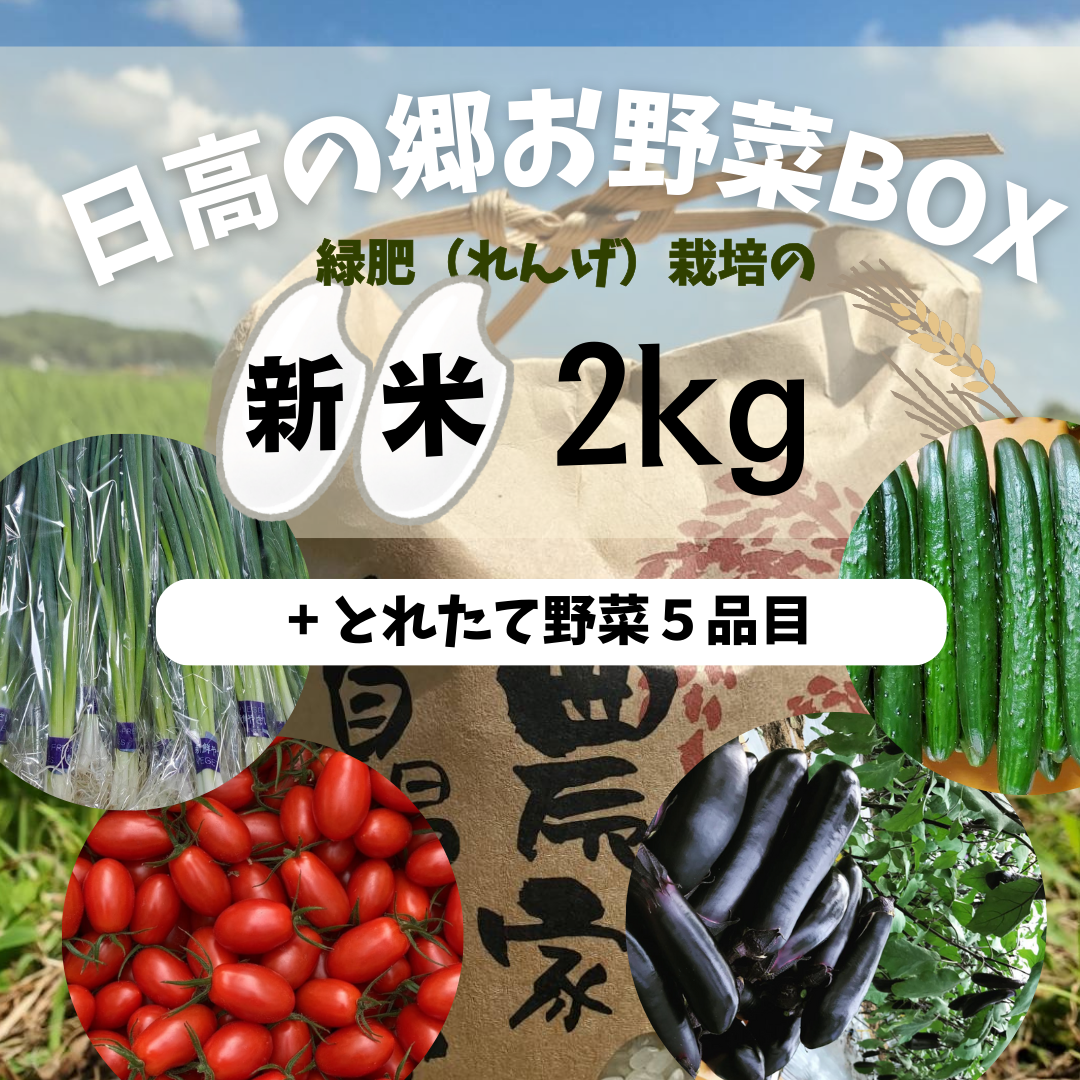 限定200箱】11月から新米お届け開始！日高の郷お野菜BOX（れんげ