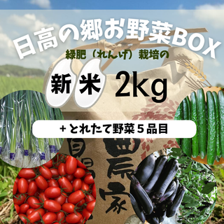 【限定200箱】11月から新米お届け開始!日高の郷お野菜BOX(れんげ米2kg入り)