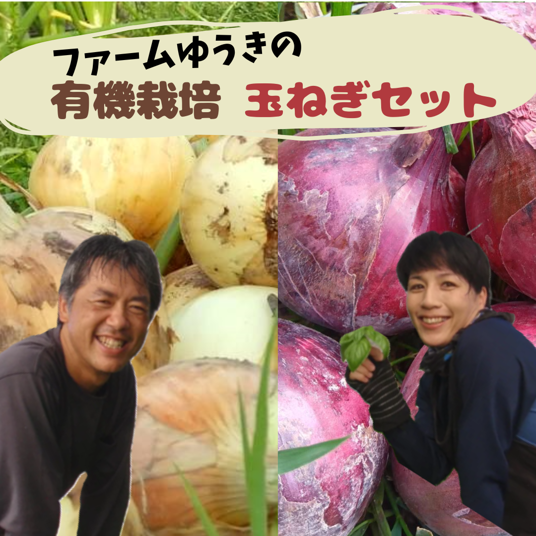 激安単価で 有機栽培玉ねぎセット】ファームゆうきの新玉ねぎ・赤玉ねぎ トイガン
