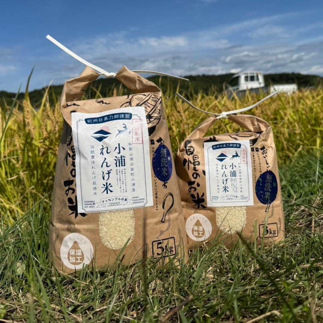 2025年度産！日高町小浦の無洗米「小浦れんげ米」3kg~ | 5STAR MARCHE