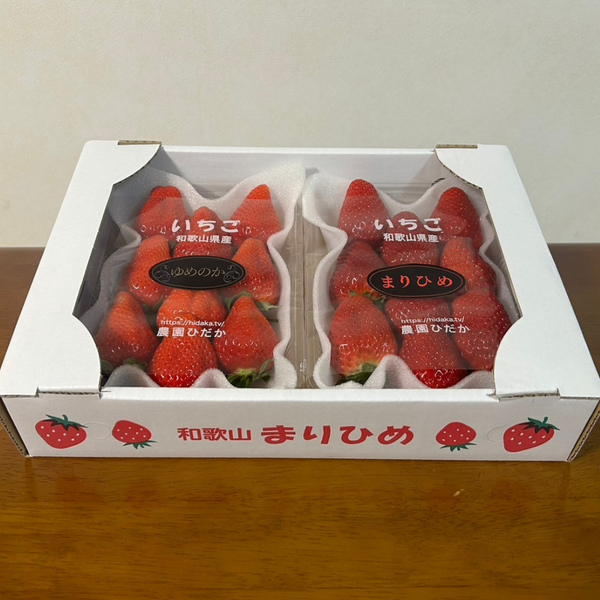 選べる組み合わせ!和歌山のいちご2パック (まりひめ・ゆめのか)