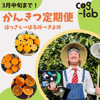 【3ヶ月 フルーツ定期便】cog-lab農園のお取り寄せ (完熟はっさく・はるみ・清見)