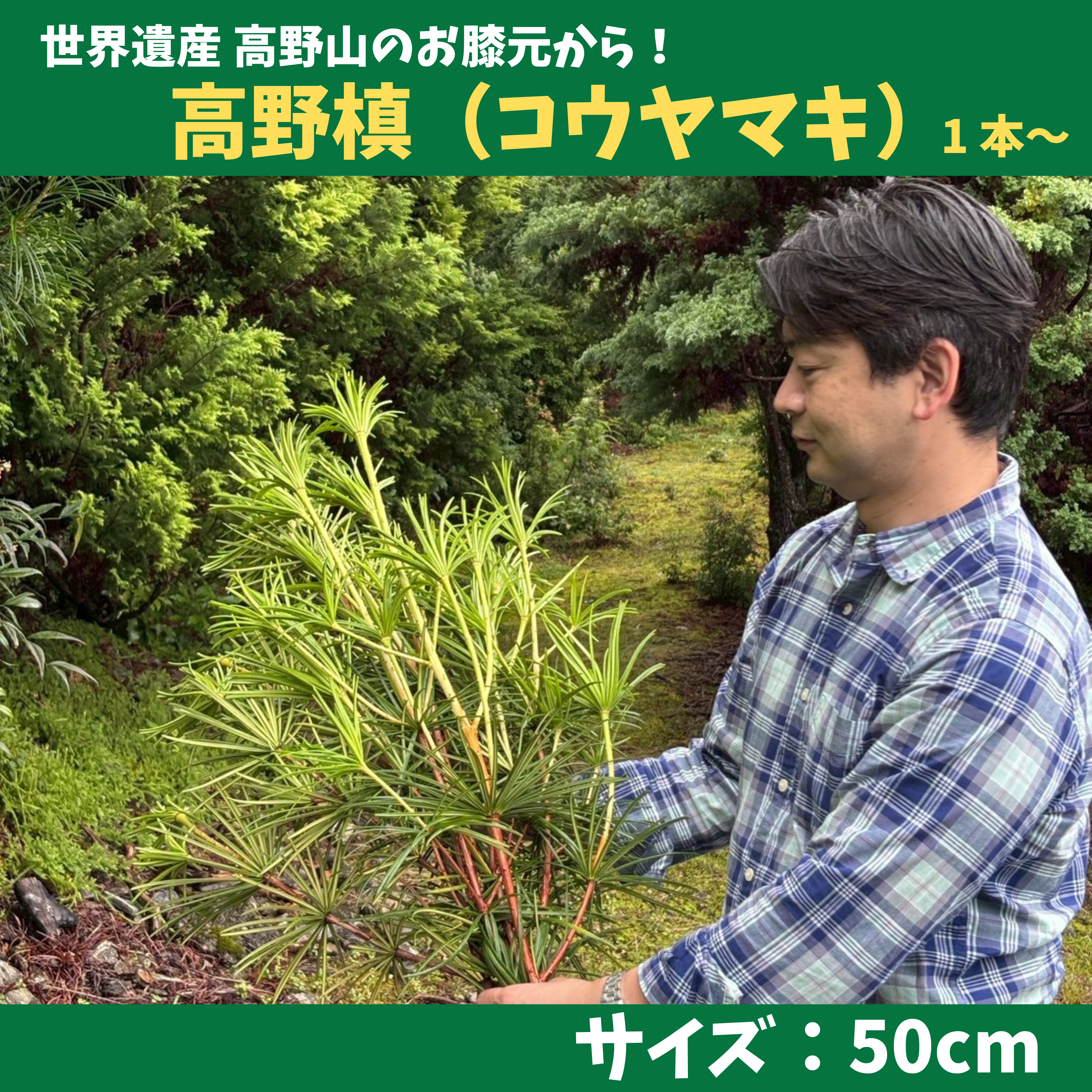 TOP_50cm.png?v=1784526866
