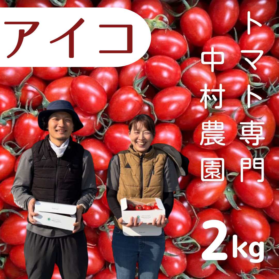 まるでフルーツ！人気沸騰中の「アイコ」自慢の完熟収穫ミニトマト2kg