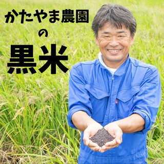 かたやま農園の自然栽培の黒米(紫黒米)600g~