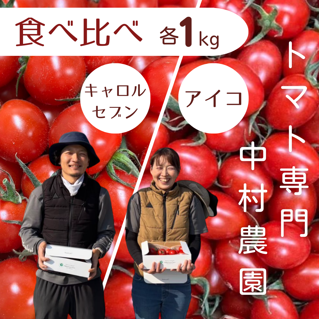 食べ比べ!和歌山県産ミニトマト(アイコ・キャロルセブン) 各種1kg 食べ比べ!和歌山県産ミニトマト(アイコ・キャロルセブン) 各種1kg