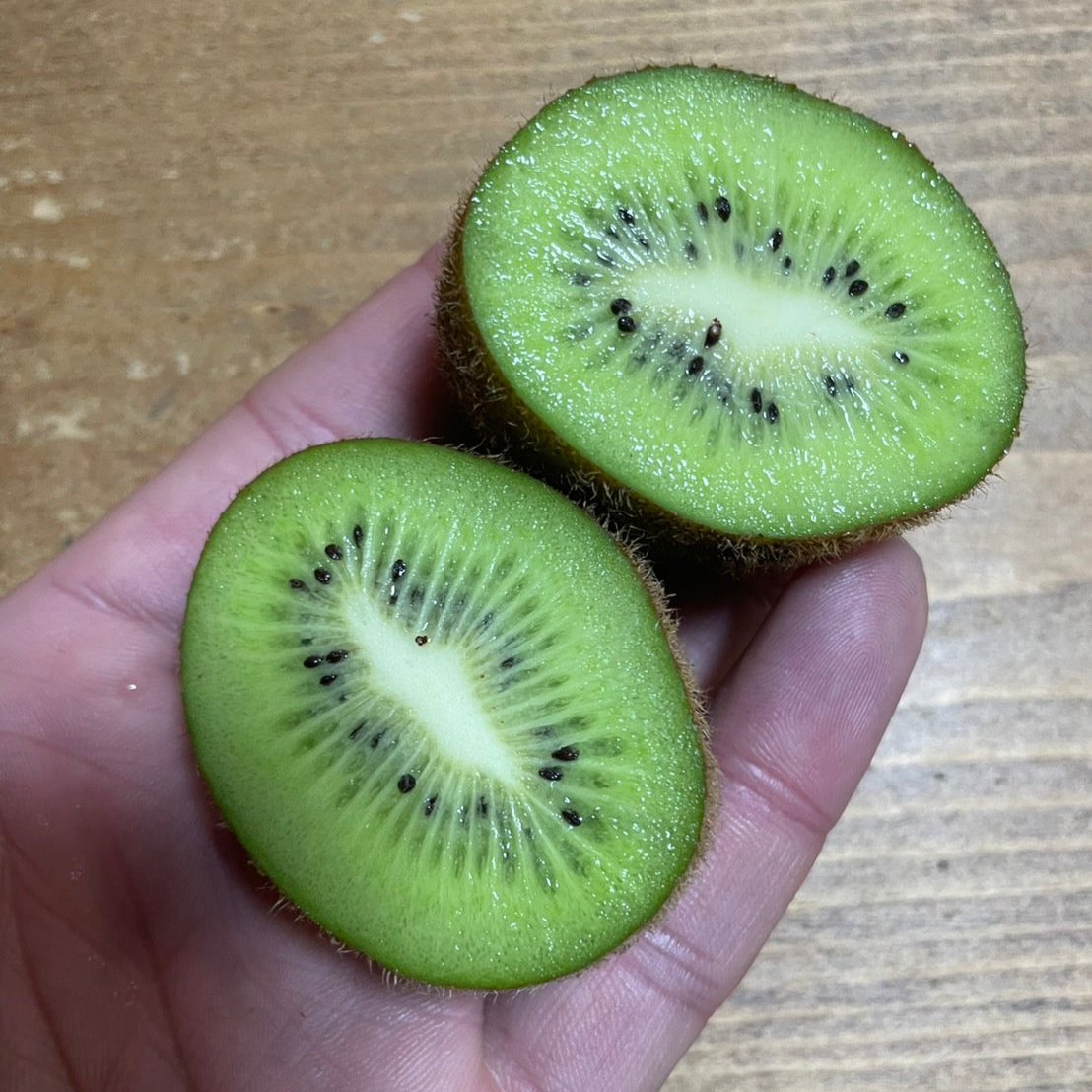 戸田農園の不揃いキウイ(3kg/5kg)*防腐剤未使用 | 5STAR MARCHE