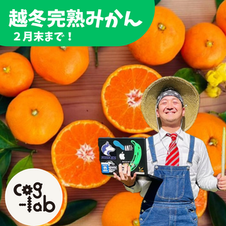 【期間限定】cog-lab農園の越冬樹成り完熟みかん 防腐剤・農薬未使用1kg~