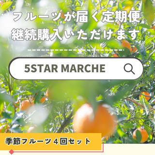 【年4回!フルーツ定期便】今年も和歌山の産品が4回届くオトクな頒布会