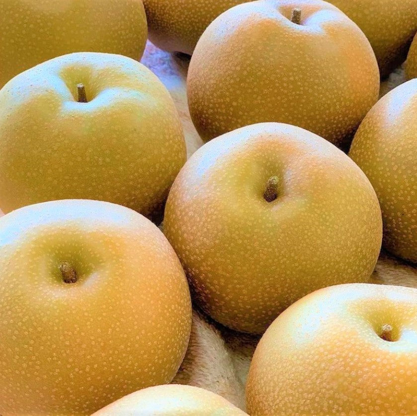 housui2_tmb.jpg?v=1693366318