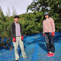 紀州南高梅「完熟梅」 5kg~