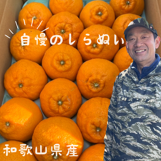 ishijyu農園の不知火(しらぬい) 2Lサイズ 約5kg