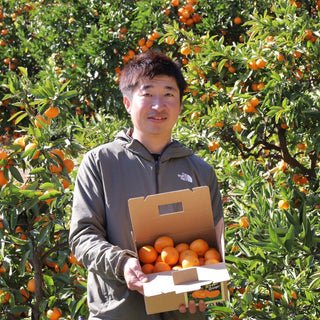 森隆農園の「完熟」八朔2.5kg~