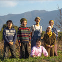 【毎月定期便】紀州農レンジャー野菜BOX *発送曜日選択制(火・金)
