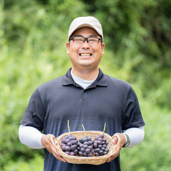 梅田農園の朝採れコク甘「種あり巨峰」