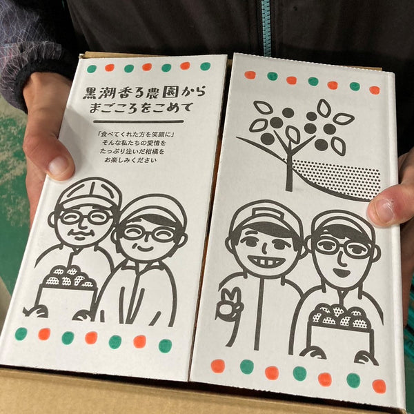 【予約商品】前山農園の蔵出しみかん3kg