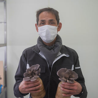 黒あわび茸と柚子の佃煮40g 6袋~