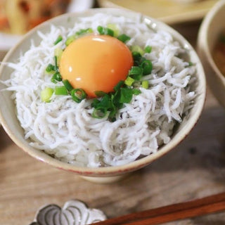 初もの釜揚げしらす1kg(250g×4)サイズ大きめ