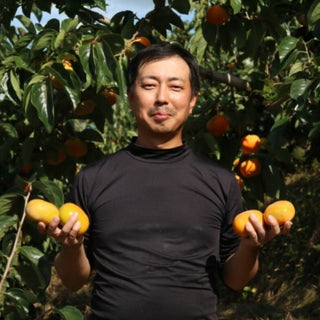 たねなし柿ご家庭用3.5kg