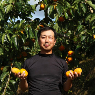 柿のドライフルーツ食べくらべセット各100g ~