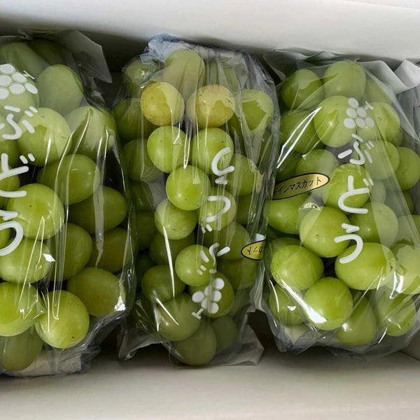 【予約販売】完熟の証!まる太農園の黄色いシャインマスカット 2kg