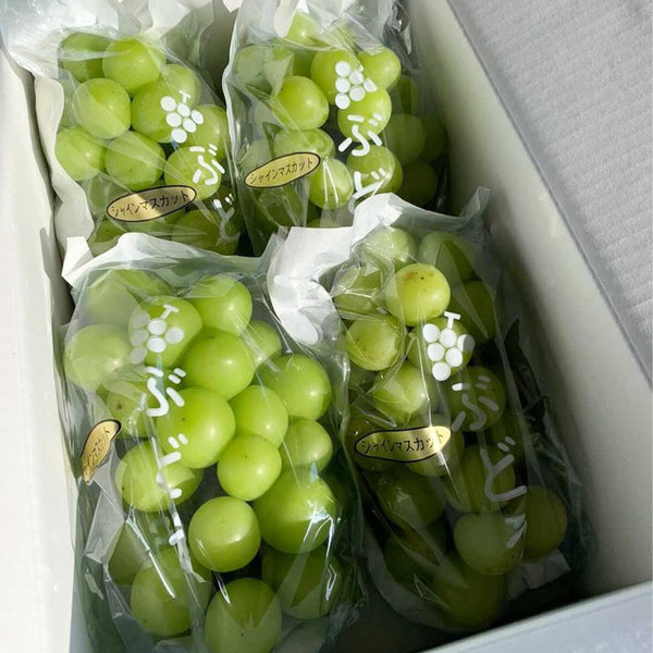 【予約販売】完熟の証!まる太農園の黄色いシャインマスカット 2kg