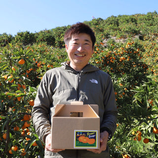 【予約開始】樹上完熟!若野みかん3kg~