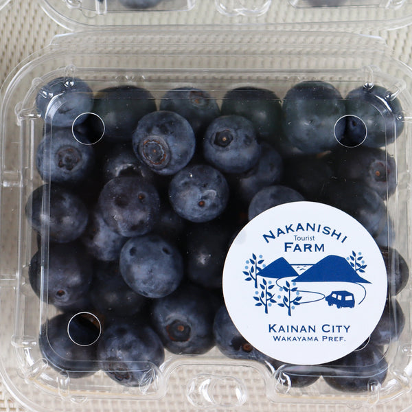 生ブルーベリー 140g×4パック