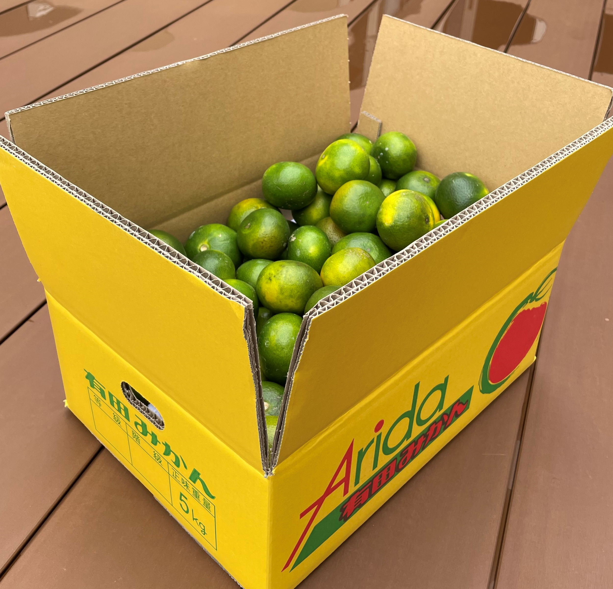 和歌山限定最新品種みかん「YN26」3kg~ | 5STAR MARCHE 和歌山限定最新品種みかん「YN26」3kg~ | 5STAR MARCHE