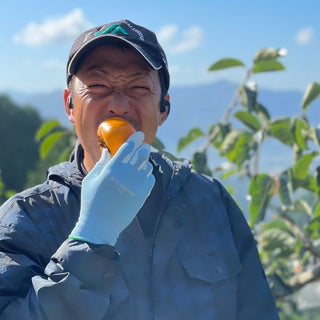 にしぐち農園の紀の川柿2kg