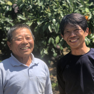 有田みかん!山富農園のYN26
