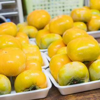 訳ありたねなし柿 2kg~